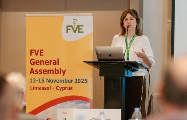 photo_2025-11-24_09-59-37