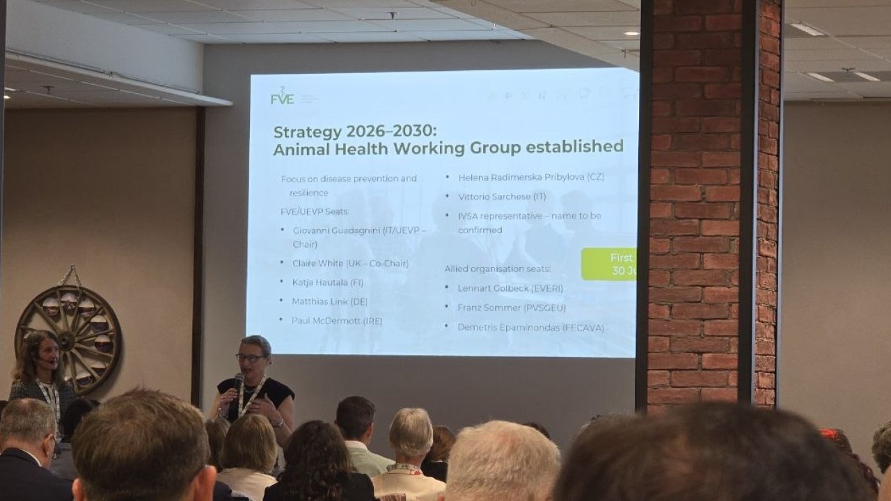 European Veterinary Practice Standards 2026: Biosecurity, Medicines Regulation, and the "Triple R" Workforce Manifesto at the FVE Assembly.
