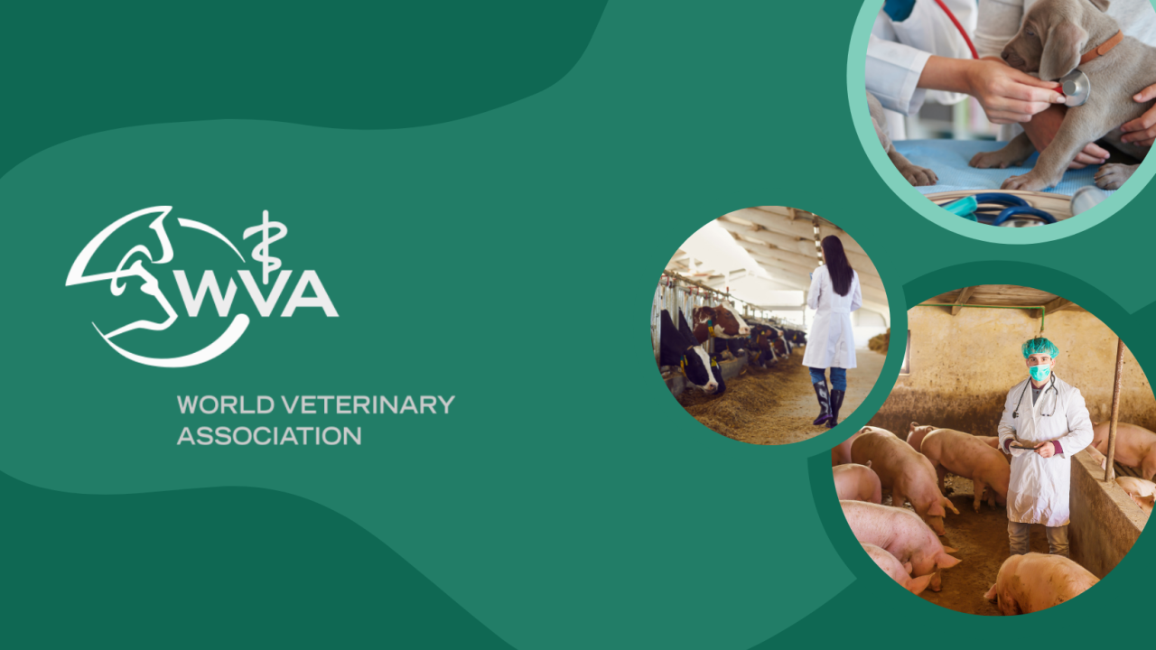 ГО «СВВС» офіційно стала членом Всесвітньої ветеринарної асоціації 