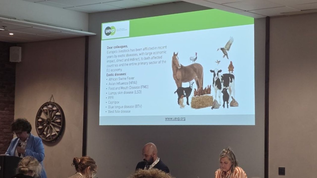 Why do "exotic" animal diseases pose an increasing threat to Europe? The experience of Greece.