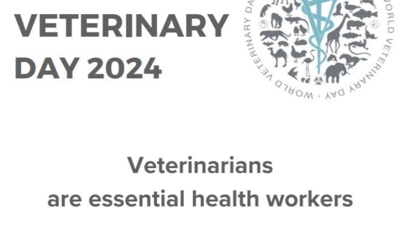 Міжнародний День Ветеринара 2024  (27 квітня)  World Veterinary Day 2024