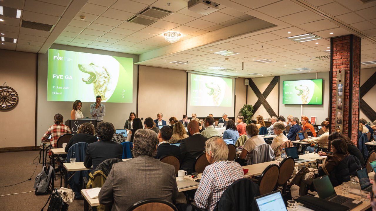 The Voice of Ukraine at the FVE General Assembly: New Laws, Licenses in "Diia"