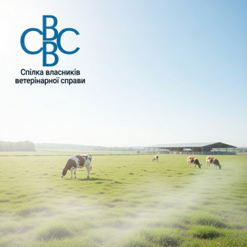 grok-image-55bede50-e2ba-46cf-bec5-32ff865ed7d4 grok-image-55bede50-e2ba-46cf-bec5-32ff865ed7d4