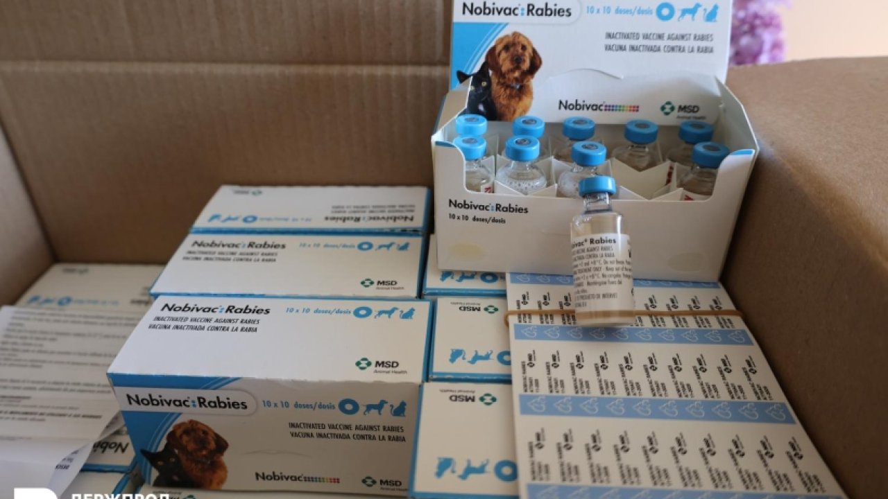 250,000 doses of rabies vaccine from the World Organisation for Animal Health (WOAH) is an important victory for the Ukrainian veterinary community.