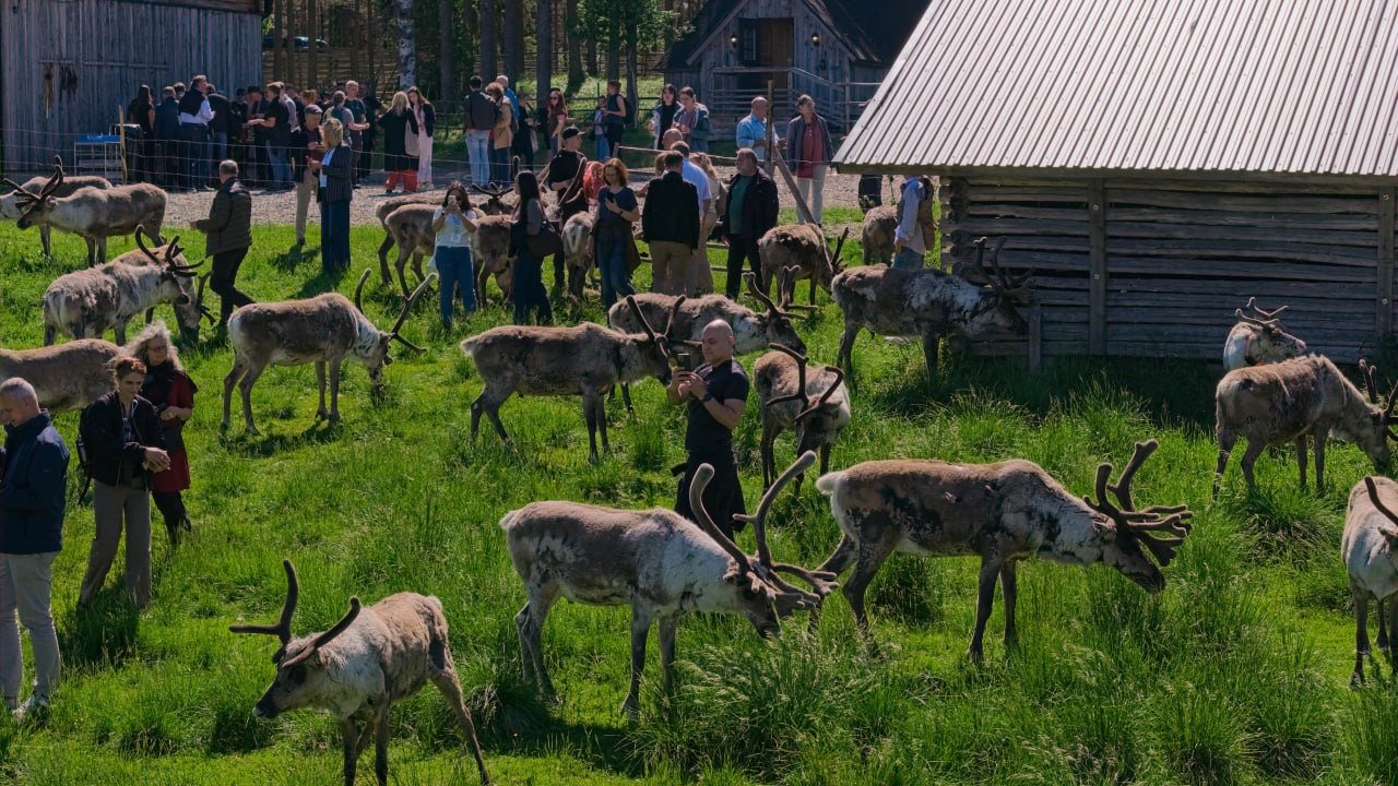 Ветеринарія на межі екстриму