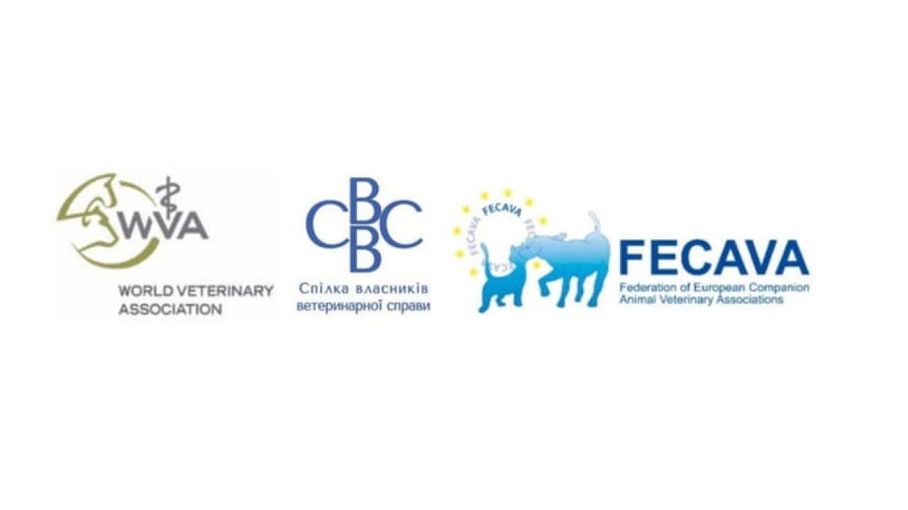 Advantages of membership in the PO “Society of Veterinary Business Owners”