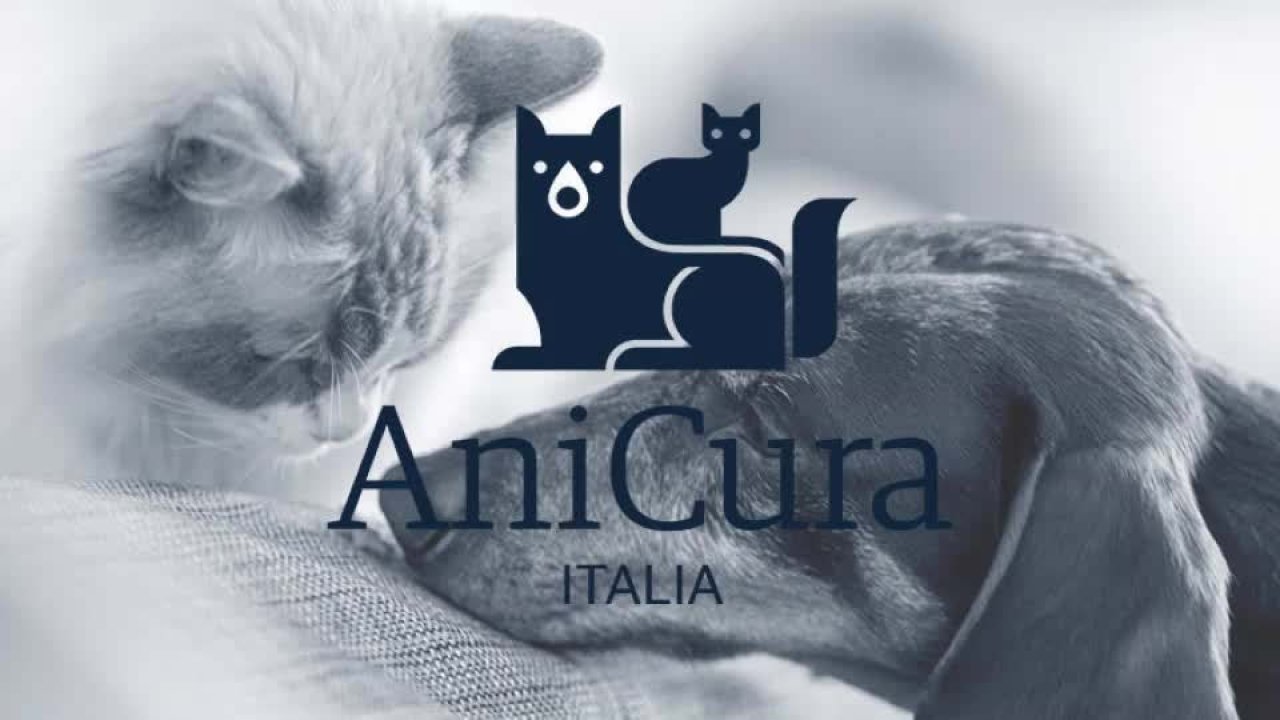 Робота в Anicura в Пізі та Флоренції