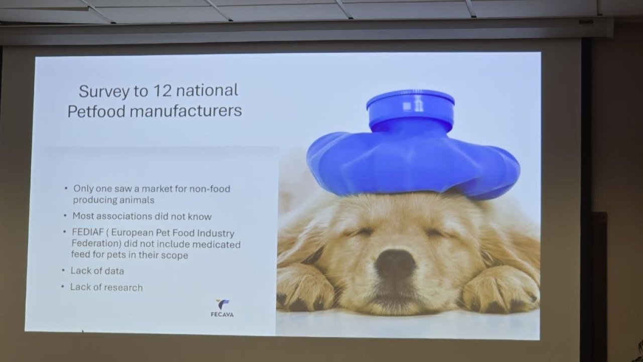 FECAVA: Medicated feed for pets - risks, challenges and the position of the European Federation. FEEVA: Update on veterinary practice with horses