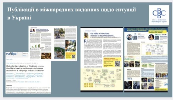 photo_2026-02-10_14-36-10