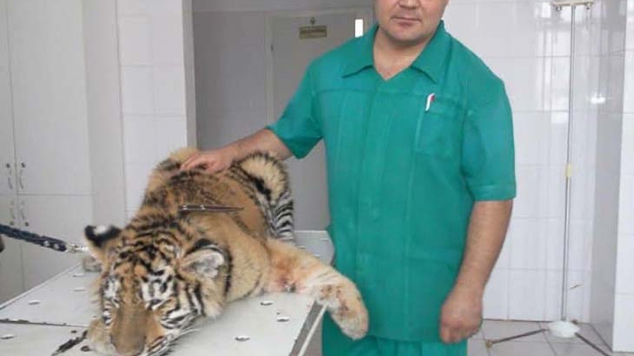Veterinary clinic of Dr. Tuyakhov "MariupolVET"